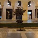 Θεσσαλονίκη: Αγριογούρουνο εμφανίστηκε στην πλατεία Αριστοτέλους