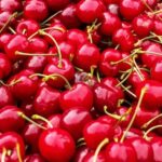 Διίστανται οι απόψεις για τη φετινή παραγωγή κερασιού, όλοι όμως συμφωνούν ότι μετά τις 10/6 το κεράσι θα είναι περισσότερο στην ελληνική αγορά