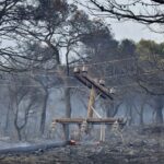 Ν.Χαρδαλιάς: Στάχτη 20 χιλιάδες στρέμματα δάσους από την πυρκαγιά που ξεκίνησε στο Σχίνο Λουτρακίου