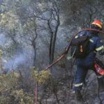 Αρχηγός της Πυροσβεστικής στο ΑΠΕ – ΜΠΕ: “Εικόνα ύφεσης παρουσιάζει πλέον η πυρκαγιά”