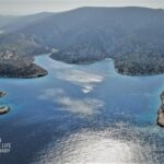 Διεθνείς Επισκέπτες στο υπό Δημιουργία Καταφύγιο Θαλάσσιας Ζωής Αιγαίου