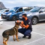 ΕΙΔΗΣΕΙΣ ΣΕ ΒΙΝΤΕΟ: Έλεγχοι της αστυνομίας στο Ναύπλιο με εκπαιδευμένο σκύλο