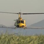 Θεσσαλονίκη: Μεγάλη αύξηση και πάλι του πληθυσμού των κουνουπιών – Νέοι ψεκασμοί την Τετάρτη και την Πέμπτη στους ορυζώνες