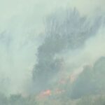 Σαράντα πέντε δασικές πυρκαγιές εκδηλώθηκαν το τελευταίο 24ωρο σε όλη την Ελλάδα