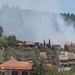 ΕΙΔΗΣΕΙΣ ΣΕ ΒΙΝΤΕΟ: Χαλκιδική: Φωτιά στη Νικήτη