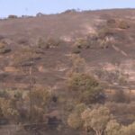 ΕΙΔΗΣΕΙΣ ΣΕ ΒΙΝΤΕΟ: Σύλληψη αγρότη για τη φωτιά στα Στύρα Ευβοίας