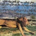 geoeurope | Βαγγέλης Χωραφάς: Η Ουάσιγκτον περιφρονεί τους συμμάχους της στο Αφγανιστάν