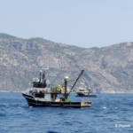 Προκλητική και Καταστροφική Αλιεία από Τουρκικές Μηχανότρατες στα Ελληνικά Νερά