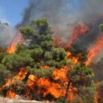 Αύξηση 26% του αριθμού των πυρκαγιών και 450% της καμένης έκτασης στην Ελλάδα, φέτος, σύμφωνα με το meteo του Αστεροσκοπείου