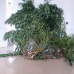 ΕΛ.ΑΣ: Ενημερωτικό δελτίο τελευταίου 24ωρου