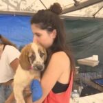 ΕΙΔΗΣΕΙΣ ΣΕ ΒΙΝΤΕΟ: Οι εθελοντές στη διάσωση των ζώων