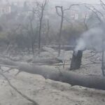 ΕΙΔΗΣΕΙΣ ΣΕ ΒΙΝΤΕΟ: Σε πύρινο κλοιό βρέθηκε το Πευκί Ευβοίας