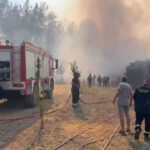 ΕΙΔΗΣΕΙΣ ΣΕ ΒΙΝΤΕΟ: Σε ύφεση τα μέτωπα της πυρκαγιάς στη Ρόδο
