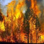 Αθλιότητα, χυδαιότητα, μικρότητα – Γράφει ο Νίκος Γ. Σακελλαρόπουλος