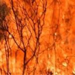 Υπερβάσεις χωρίς απλοϊκότητα και λαϊκισμό – Γράφει ο Νίκος Γ. Σακελλαρόπουλος
