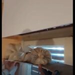 ΕΙΔΗΣΕΙΣ ΣΕ ΒΙΝΤΕΟ: 12 κιλά ηρωίνης κατασχέθηκαν μετά από επιχείρηση της Δίωξης Ναρκωτικών