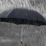 Τμήμα Περιβάλλοντος και Πολιτικής Προστασίας του Δήμου Αλεξάνδρειας