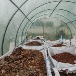 Θεσσαλονίκη: Ανακύκλωσαν τα υπολείμματα 650.000 καφέδων!