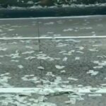 ΗΠΑ: «Έβρεξε λεφτά»: Η πόρτα ενός θωρακισμένου βαν μεταφοράς χρημάτων ανοίγει σε αυτοκινητόδρομο της Καλιφόρνια και οδηγοί σταματούν τρέχοντας για το… τζακ ποτ