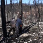 ΕΙΔΗΣΕΙΣ ΣΕ ΒΙΝΤΕΟ: Εύβοια: Τρεις μήνες μετά τις πυρκαγιές – εργασίες για την προστασία του δάσους και των οικισμών