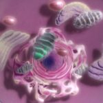 Επιστήμη: Το σημαντικότερο επιστημονικό επίτευγμα του 2021 υπήρξε η δυνατότητα πρόβλεψης της αναδίπλωσης των πρωτεϊνών από την τεχνητή νοημοσύνη, σύμφωνα με το “Science”