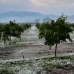 Ανακοινώθηκαν τα πορίσματα του ΕΛΓΑ για το αίτιο χαλάζι της 28ης Μαρτίου 2021 σε Αλεξάνδρεια, Βρυσάκι και Λουτρό