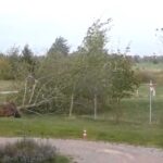 Γερμανία: Ένας νεκρός και δύο τραυματίες από τους θυελλώδεις ανέμους – Ζημιές σε αυτοκίνητα από τα πεσμένα δέντρα