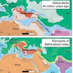 Επιστήμη: Η χαμένη ήπειρος Βαλκανατολία, που περιελάμβανε και τη σημερινή Ελλάδα, αποτέλεσε τη γέφυρα για το μαζικό πέρασμα ζώων από την Ασία στην Ευρώπη πριν 34 εκατομμύρια χρόνια