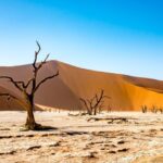 Κέρας της Αφρικής: 13 εκατομμύρια άνθρωποι στην περιοχή απειλούνται από λιμό λόγω της ξηρασίας