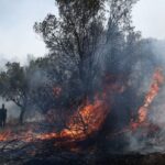 Απόφαση του Αντιπεριφερειάρχη Π.Ε. Ημαθίας περί απαγόρευσης κυκλοφορίας στη περιοχή ευθύνης του Δασαρχείου Βέροιας.