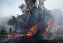 Υγεία: Ο αθέατος κίνδυνος από τον καπνό των πυρκαγιών: Τι δείχνουν τα νέα δεδομένα για τον καρκίνο