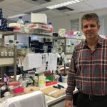 Ηράκλειο: Έρευνα για βιοεντομοκτόνα με φυσικό «οπλοστάσιο», κατά του δάκου και των κουνουπιών από το Ινστιτούτο Μοριακής Βιολογίας και Βιοτεχνολογίας του ΙΤΕ