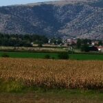 Μ. Βραχνάκης (καθ. Παν. Θεσσαλίας): Η κλιματική αλλαγή επιδρά στη βιοποικιλότητα με καθοριστικό τρόπο – Ποιες οι επιπτώσεις στην Ελλάδα