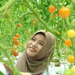 ΕΙΔΙΚΟ ΘΕΜΑ: Κάθετες υδροπονικές καλλιέργειες, κουφώματα με …leasing και εκτύπωση φαρμάκων- Η Ολλανδία καθοδόν προς το μέλλον