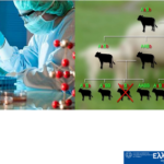 Μετάθεση της ημερομηνίας έναρξης υποβολής αιτήσεων ενίσχυσης στο υποέργο Γενετική Βελτίωση Ζώων του Ταμείου Ανάκαμψης και Ανθεκτικότητας