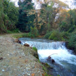 Ευχαριστήριο του Συλλόγου “Φίλοι του ποταμού Τριποτάμου Βέροιας”