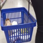 “Καλάθι του Nοικοκυριού”: Στο 98% των προϊόντων οι τιμές μειώνονται ή διατηρούνται σταθερές την 9η εβδομάδα εφαρμογής του