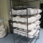 Βελτίωση της ποιότητας και της ανταγωνιστικότητας του ελληνικού βαμβακιού με τη χρήση γεωργίας ακριβείας