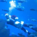 Άγιος Βασίλης σε ενυδρείο στη Μαγιόρκα