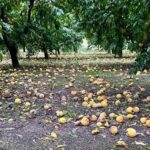 ΑΣ Ημαθίας προς ΥΠΑΑΤ για Βροχοπτώσεις : Υλοποιήστε όσα δεσμευτήκατε το Σεπτέμβριο από την Ημαθία