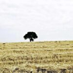 Εκμίσθωση ακινήτων του Ελληνικού Δημοσίου στην περιοχή ΕΛΟΣ ΚΛΕΙΔΙΟΥ