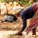 UNESCO: Το ένα τρίτο των μαθητών στον κόσμο δεν έχει πρόσβαση σε πόσιμο νερό, σύμφωνα με τον οργανισμό