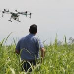 Θεσσαλονίκη: Στα 70.0000 ευρώ ανά χίλια στρέμματα το επιπλέον οικονομικό όφελος για τους ορυζοπαραγωγούς από τη Γεωργία Ακριβείας