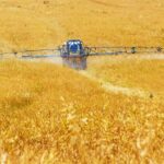 ΕΕ: Ο Οργανισμός Περιβάλλοντος ζήτησε να μειωθεί η χρήση παρασιτοκτόνων