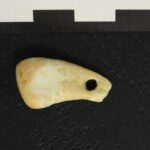 Επιστήμη: Παλαιολιθικό κρεμαστό δίνει πληροφορίες για αρχαίο ανθρώπινο DNA