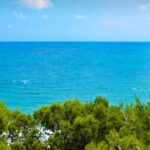 Ισπανία: Την υψηλότερη θερμοκρασία στα χρονικά κατέγραψαν την Δευτέρα ερευνητές στα νερά της Μεσογείου