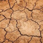 Οι επιθέσεις στη γεωργία – Γράφει ο Ανδρέας Καραντζής