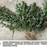 ΕΝΗΜΕΡΩΤΙΚΟ ΔΕΛΤΙΟ ΑΔΙΚΗΜΑΤΩΝ ΚΑΙ ΣΥΜΒΑΝΤΩΝ