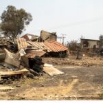 Πρώτος απολογισμός του ΕΛΓΑ για τις καταστροφές από τις πυρκαγιές σε φυτικό και ζωικό κεφάλαιο σε Ρόδο και Θεσσαλία