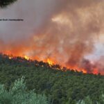 Σπυρίδων Θεοδ. Κουτσοχρήστος: Αγαπητοί συνάδελφοι σας ευχαριστώ…